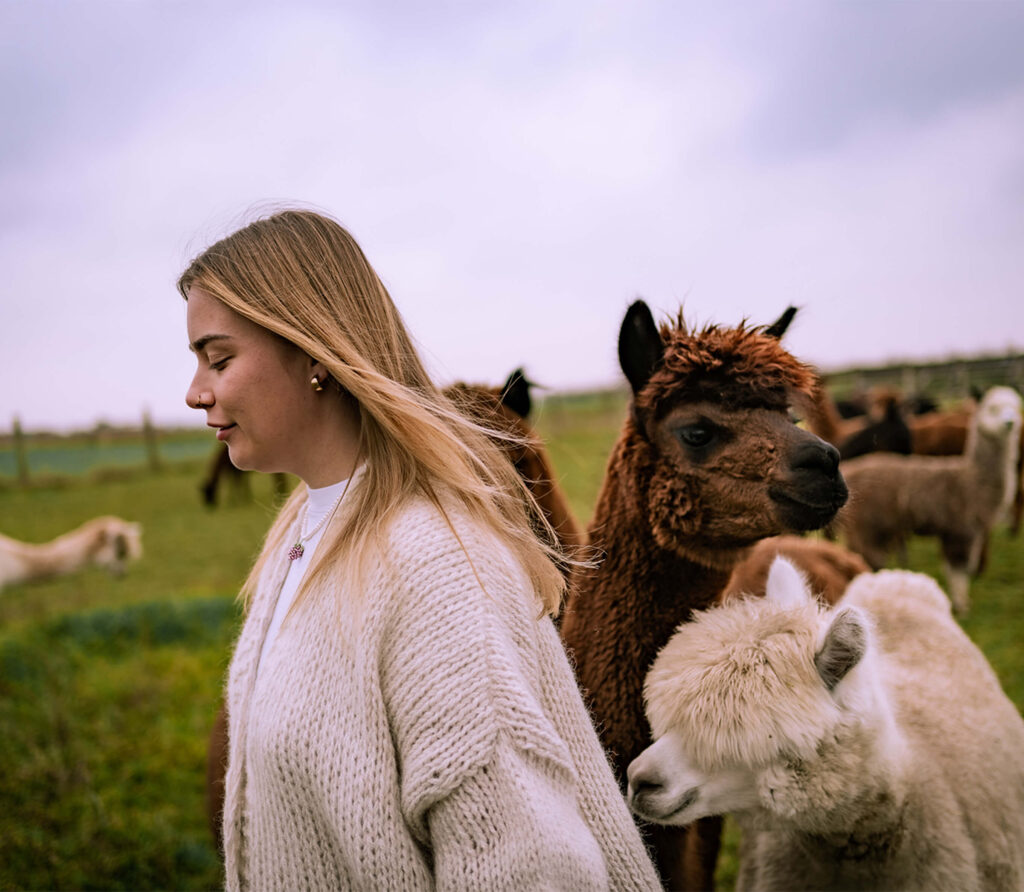 Hej Dizajn Studio Kreatywne
